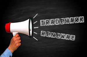 trademark-renewal